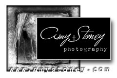 www.amystoneyprints.com